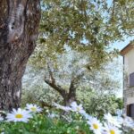Agriturismo la Roccia